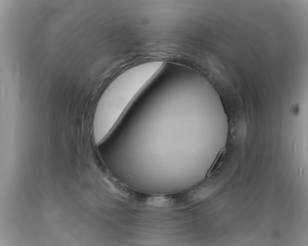 X0000089660231200706210737