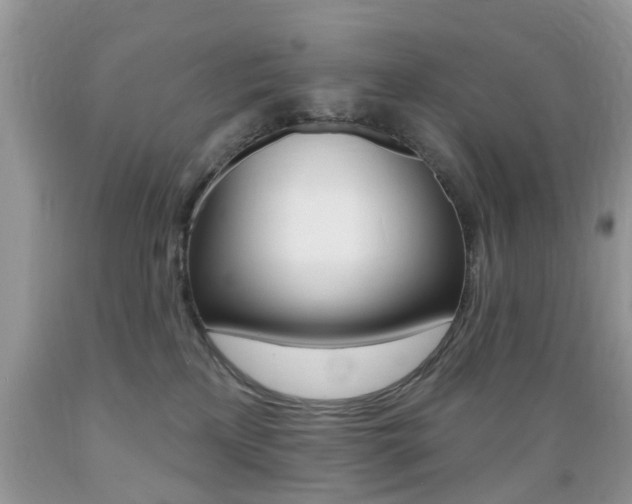 X0000089660233200706210737