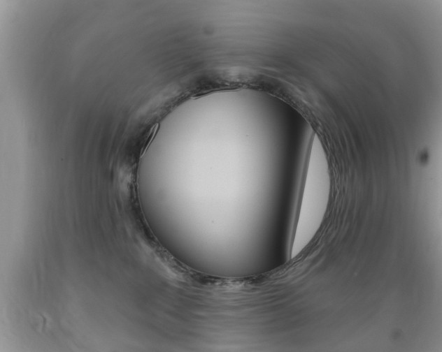 X0000089660235200706210737