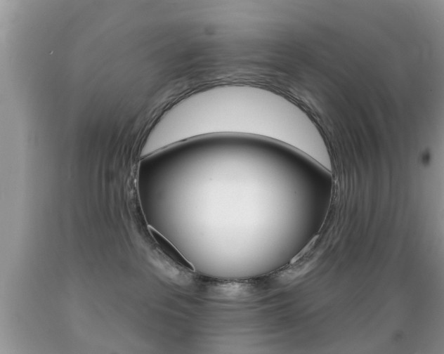 X0000089660237200706210737