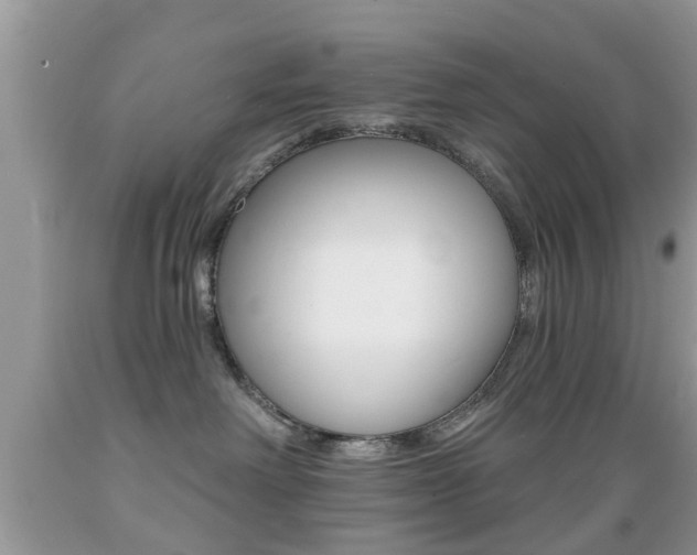 X0000089660238200706210737