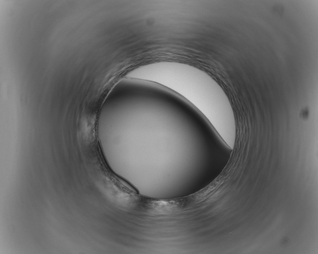 X0000089660239200706210737