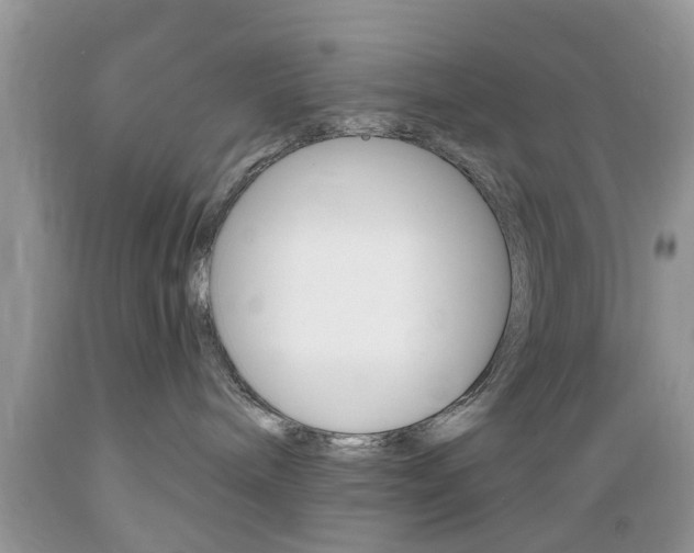 X0000089660240200706210737