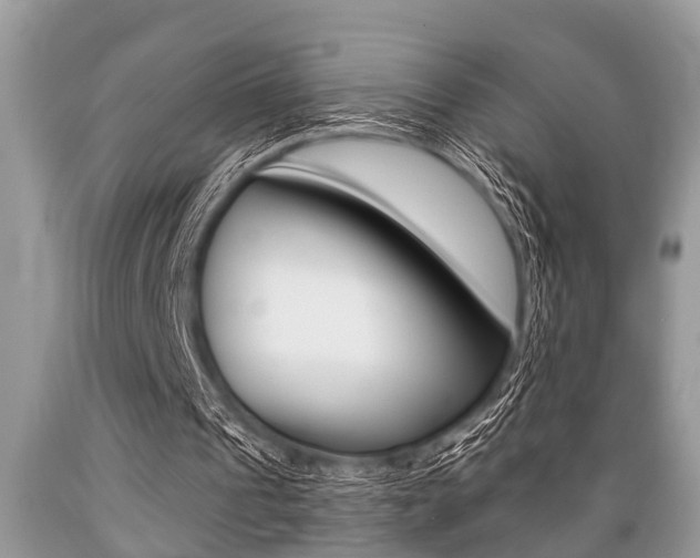 X0000089660241200706210736