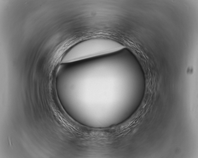 X0000089660242200706210736