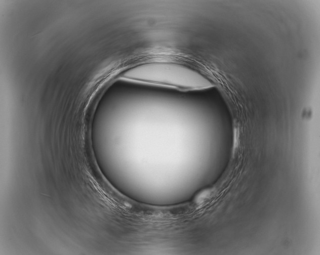 X0000089660243200706210736