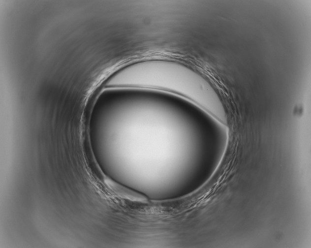 X0000089660244200706210736