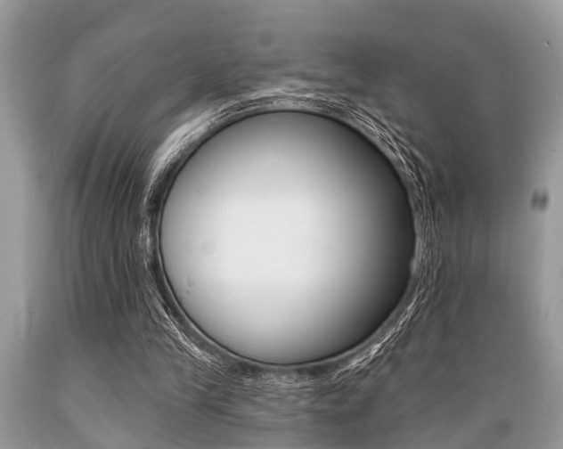 X0000089660245200706210736