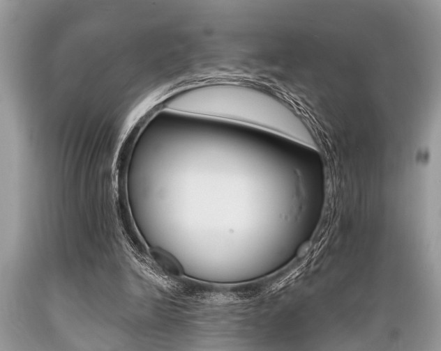 X0000089660246200706210736
