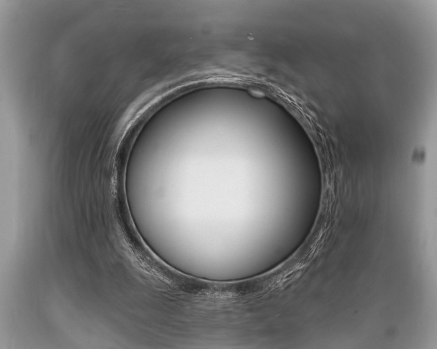 X0000089660247200706210736