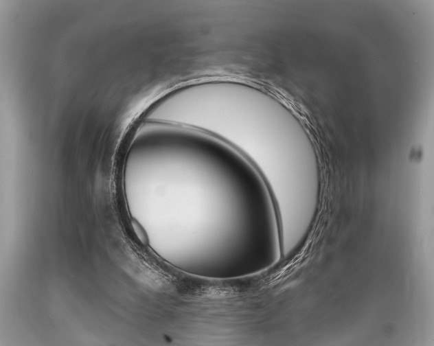 X0000089660248200706210737