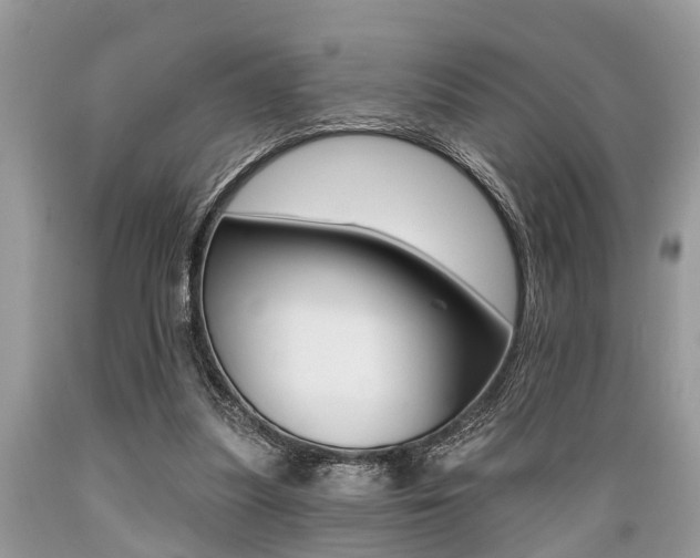 X0000089660251200706210737