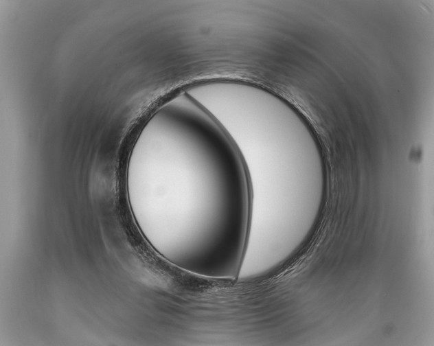 X0000089660252200706210737