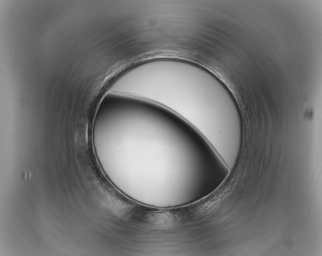 X0000089660253200706210737