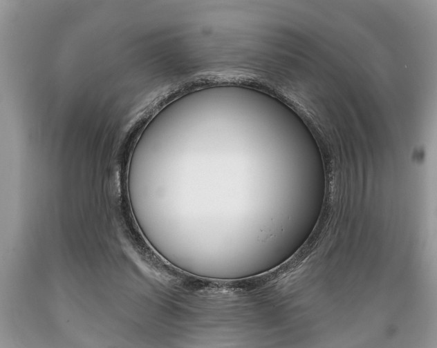 X0000089660254200706210737
