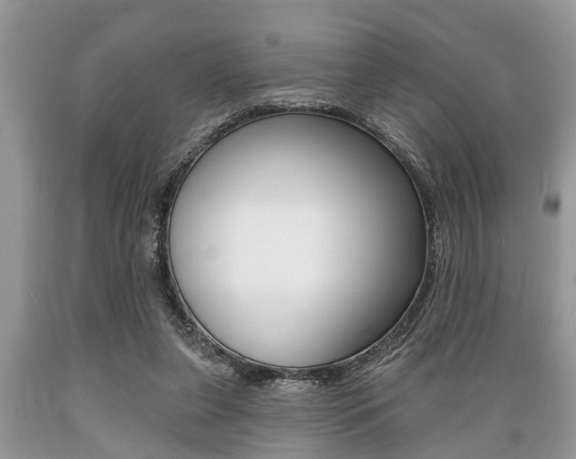 X0000089660255200706210737