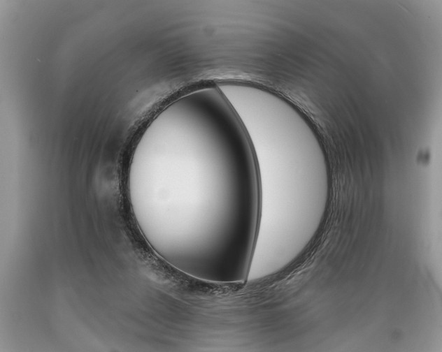 X0000089660256200706210737