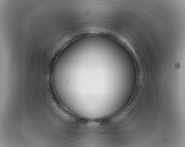 X0000089660257200706210737
