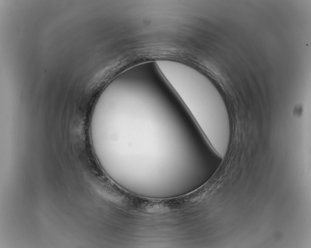 X0000089660258200706210737
