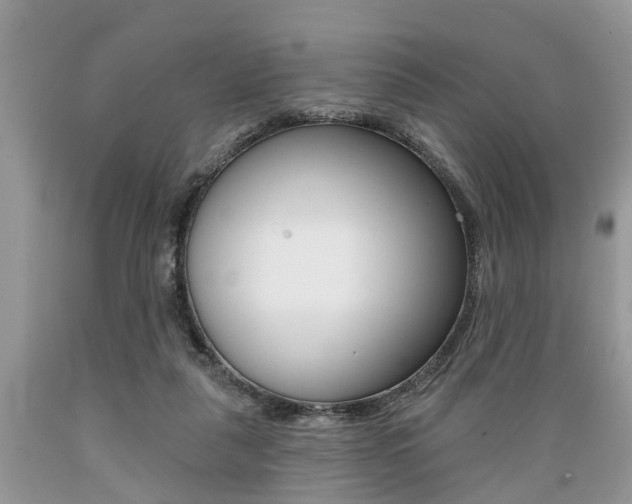 X0000089660259200706210737