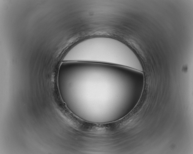 X0000089660260200706210737