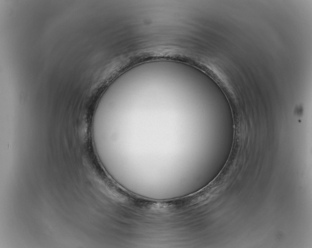 X0000089660261200706210737