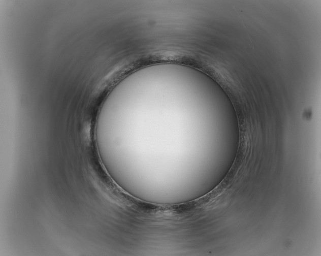 X0000089660262200706210737