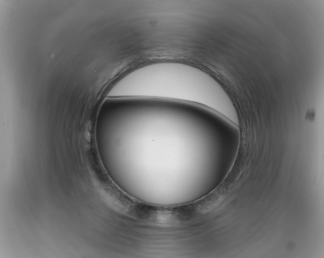 X0000089660264200706210737