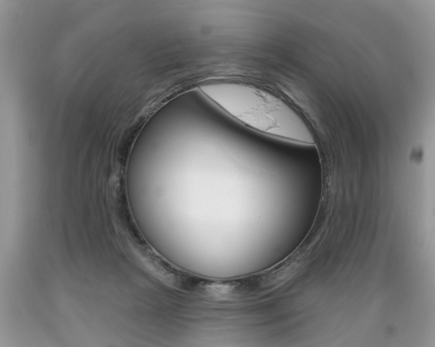 X0000089660265200706210737