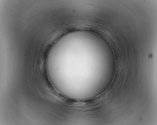 X0000089660266200706210737