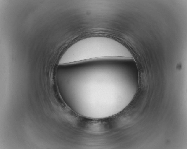 X0000089660267200706210737