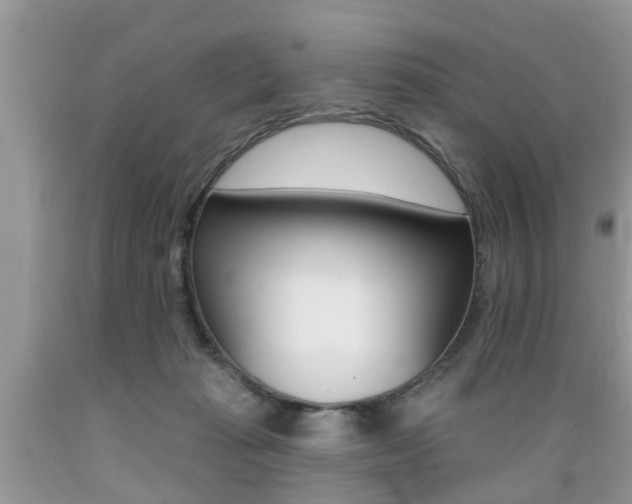 X0000089660269200706210737