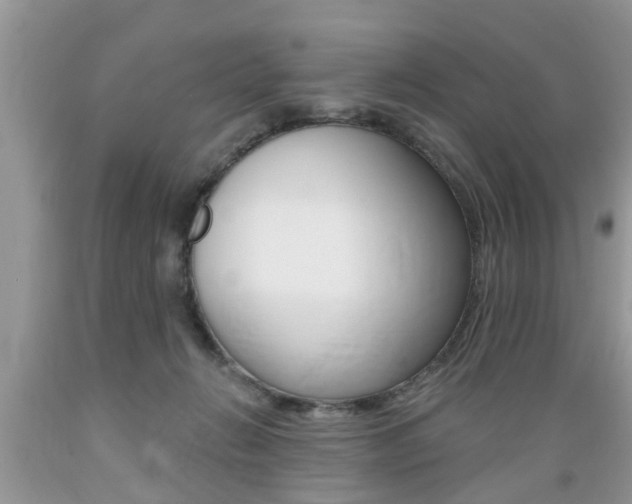 X0000089660270200706210737