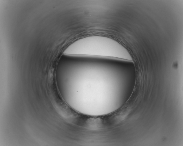 X0000089660271200706210737