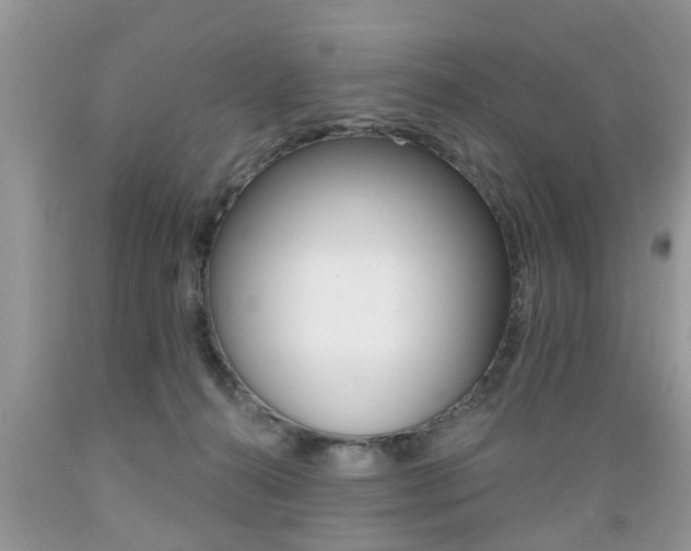 X0000089660272200706210737