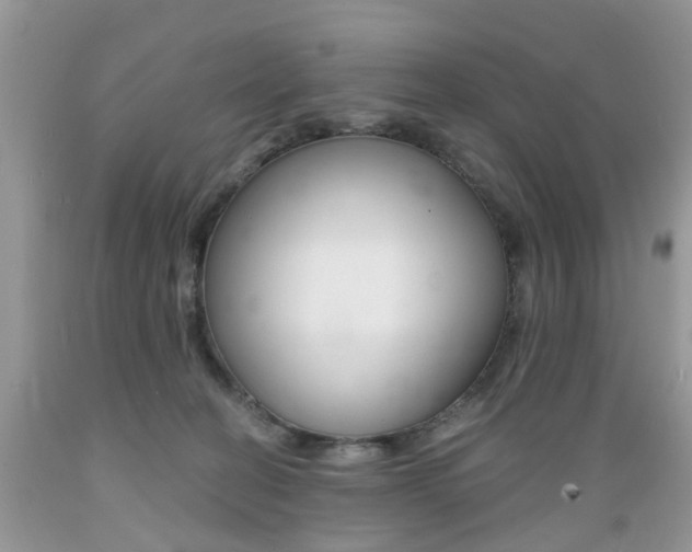 X0000089660274200706210737