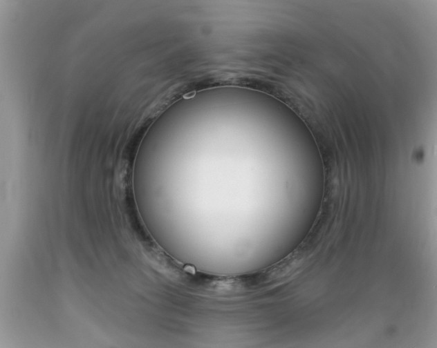 X0000089660275200706210737