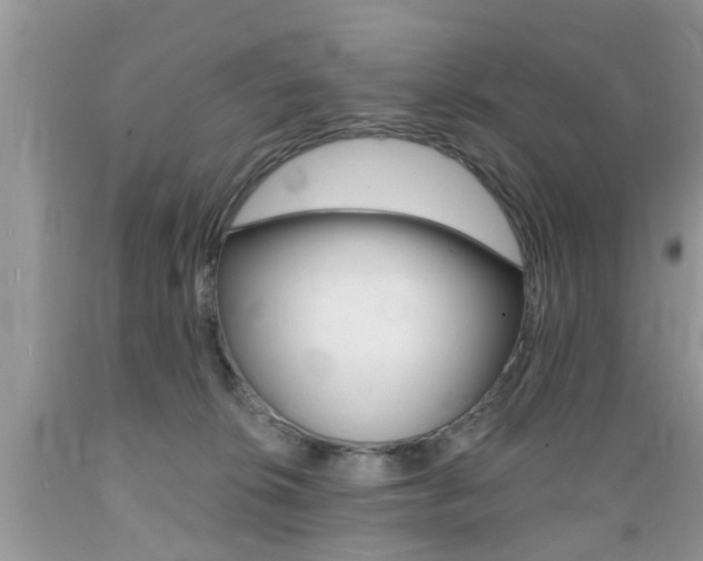 X0000089660276200706210737