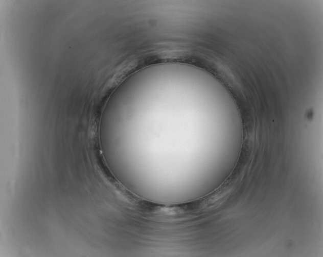 X0000089660277200706210737