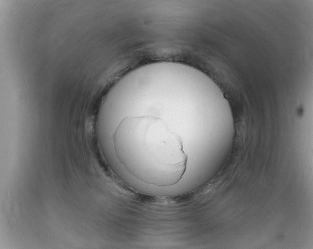 X0000089660278200706210737