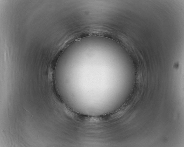 X0000089660282200706210737