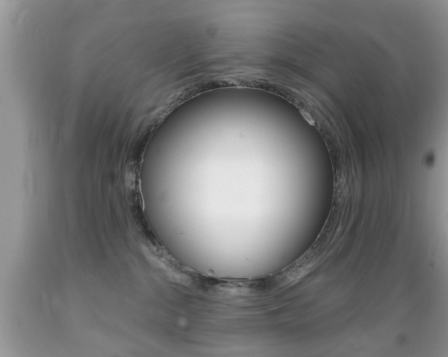 X0000089660284200706210737