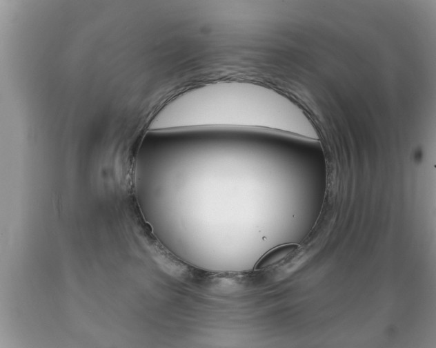 X0000089660285200706210737