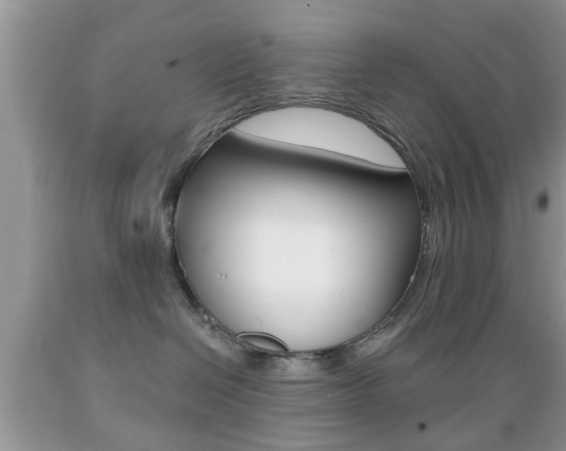 X0000089660286200706210737