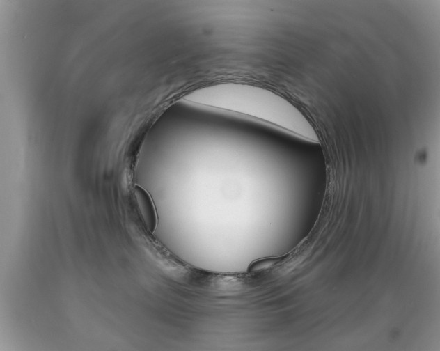 X0000089660287200706210737