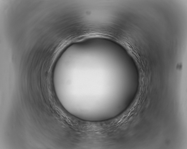 X0000089660289200706210736