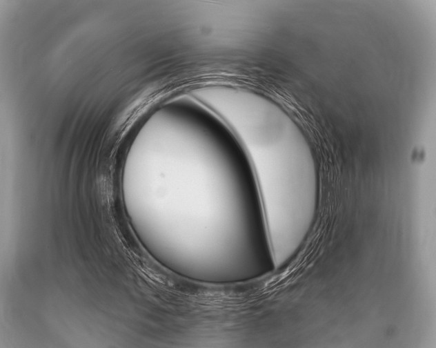 X0000089660291200706210736