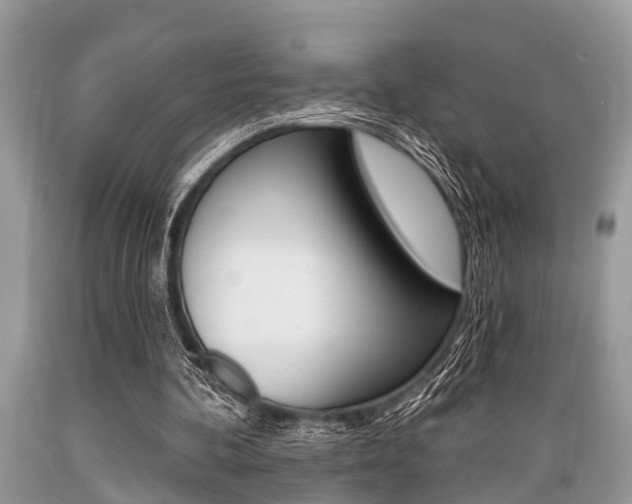 X0000089660292200706210736