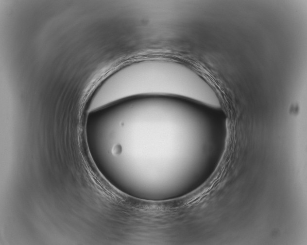 X0000089660293200706210736