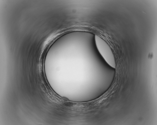 X0000089660294200706210736